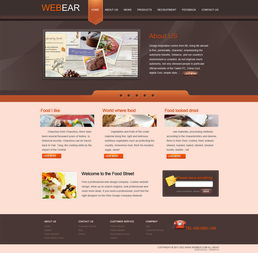 跨越时区的创新 一款全球化软件开发作品的诞生